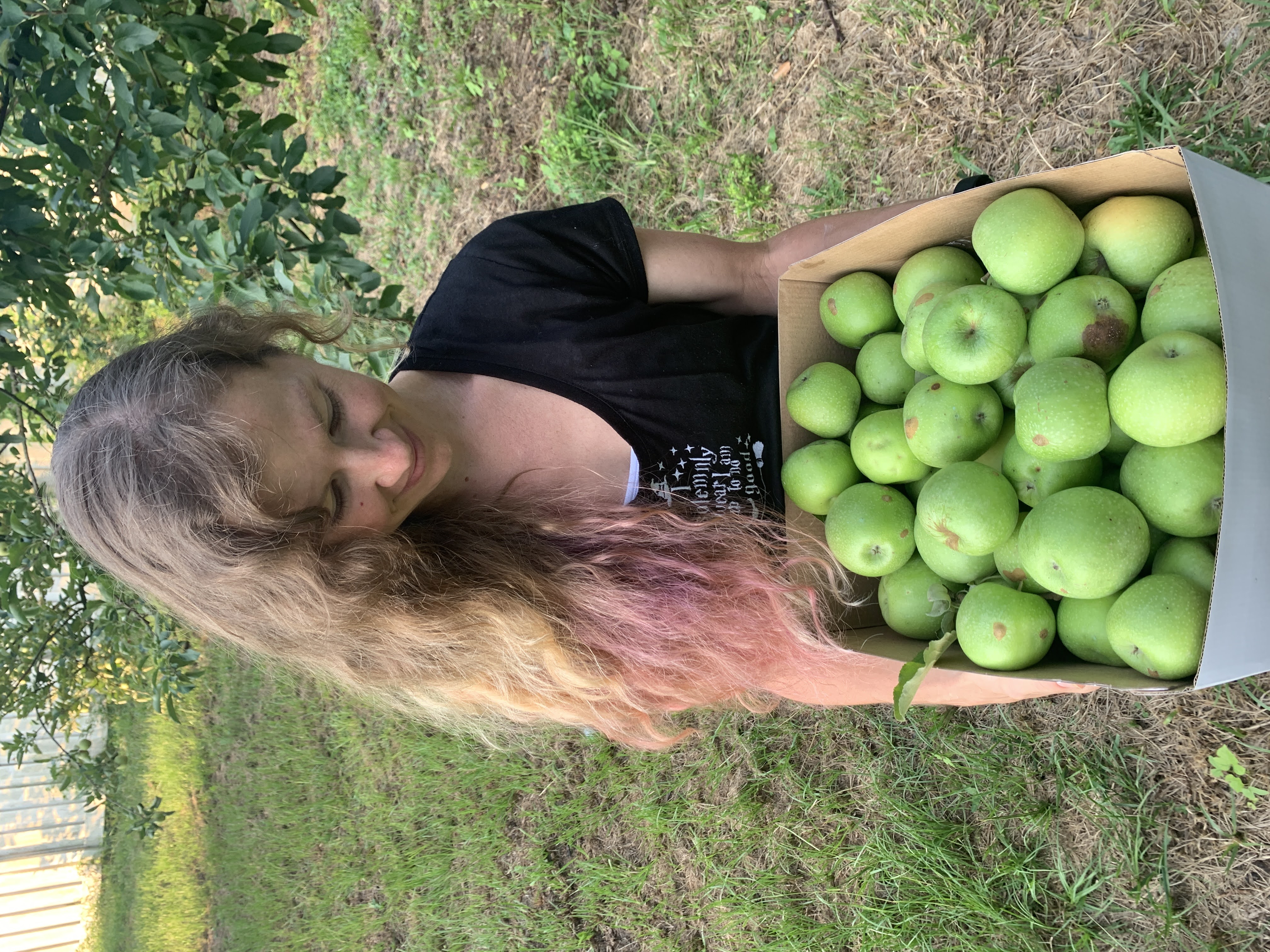 Harvest 2022